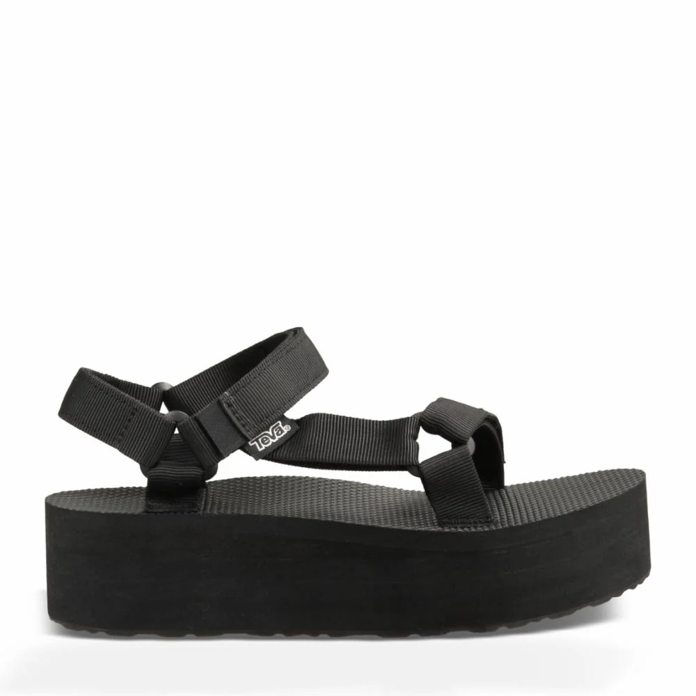 12 - New Arrivals